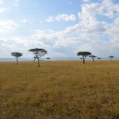  The Serengeti, TZ